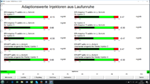 BMW INPA injectors adaptations