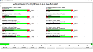 BMW INPA injectors adaptations