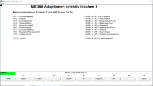 BMW INPA adaptations reset menu