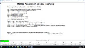 BMW INPA adaptations reset menu group 2