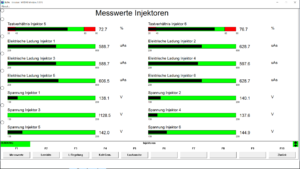 BMW INPA injectors flowrate menu