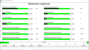 BMW INPA injectors flowrate menu