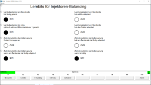 BMW INPA learnbits