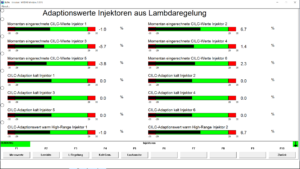 BMW INPA injectors adaptations