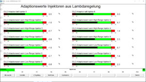 BMW INPA injectors adaptations