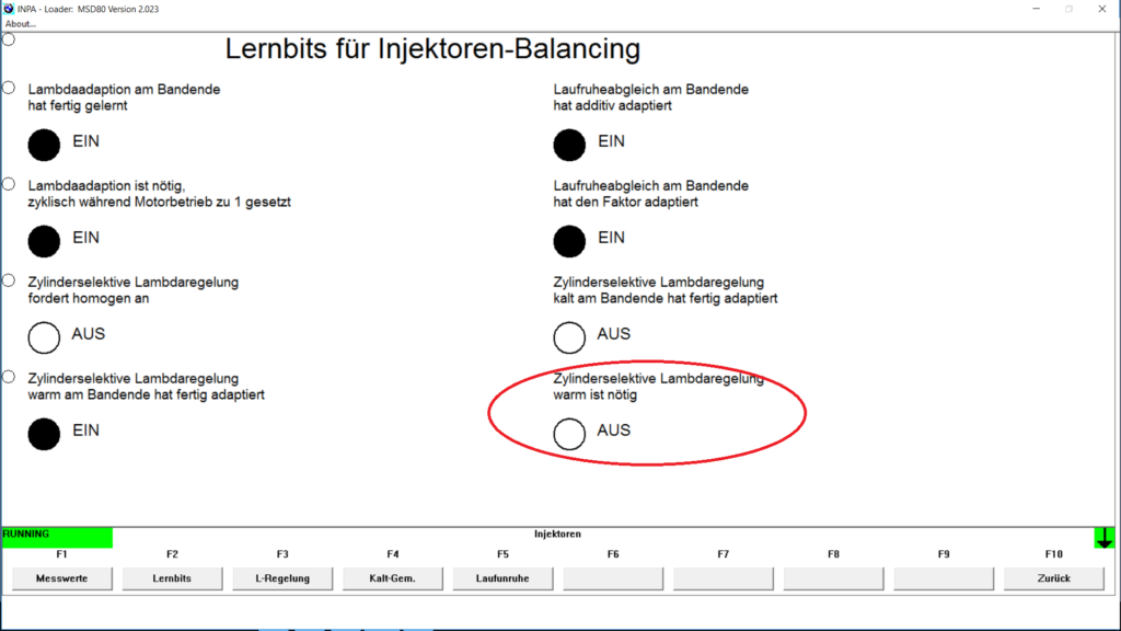 BMW INPA learnbits