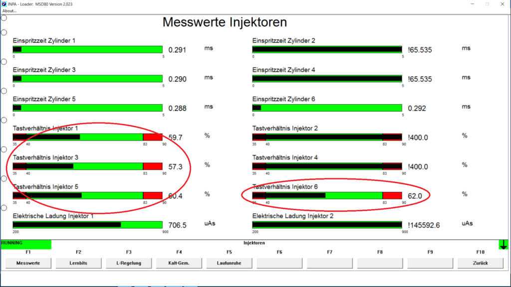 BMW INPA injectors adaptations