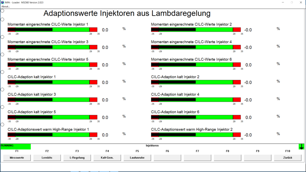 BMW INPA injectors adaptations